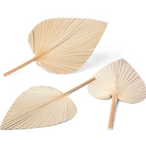 Dried Palm Leaves Decor 3 Pack